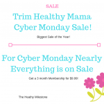THM Cyber Monday Sale
