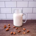 vitamix blender almond milk
